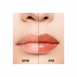 Dior Addict Lip Maximizer 039 Intense Cinnamon