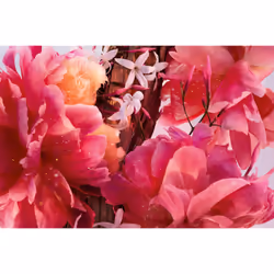 Dior Miss Parfum 50ml