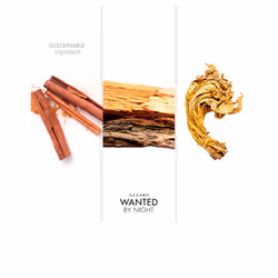 Wanted By Night eau de parfum spray 100 ml - Additional view 4