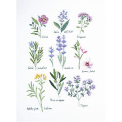 DMC Cross Stitch Kit Herbs by Nathalie Weinzaepflen - Advanced