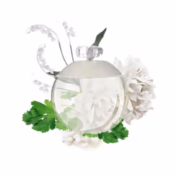 Noa eau de toilette spray 30 ml