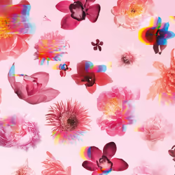 Flowerbomb eau de parfum spray 30 ml
