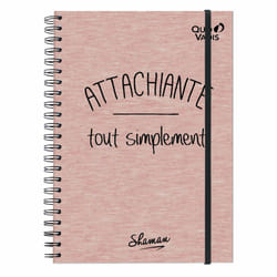 Quo Vadis 250197Q writing notebook