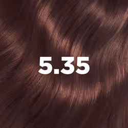 LAZARTIGUE 3372290181125 hair colour Brown