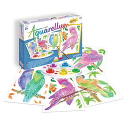 SentoSphere 654 drawing set 13 pc(s)
