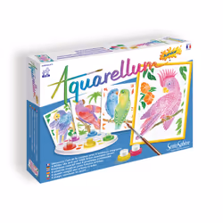 SentoSphere 654 drawing set 13 pc(s)