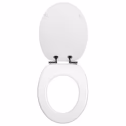 Wirquin 20719569 Soft toilet seat Wood White