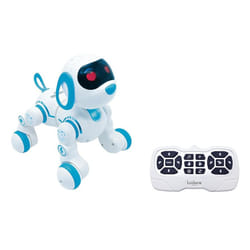 Lexibook PUP01 entertainment robot