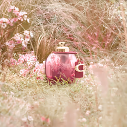 Coach Wild Rose eau de parfum spray 90 ml - Additional view 4