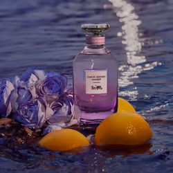 Coach Dreams Moonlight eau de parfum spray 90 ml - Additional view 4