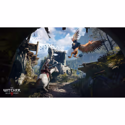 BANDAI NAMCO Entertainment The Witcher 3: Wild Hunt Game of the Year Edition, PC English