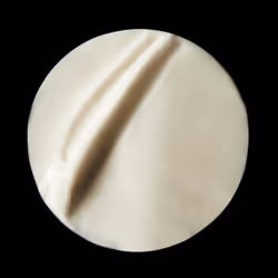 Filorga Optim-Eyes Eye cream Women 15 ml - Additional view 5