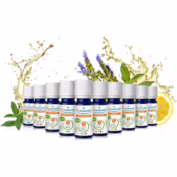 Puressentiel Organic Eucalyptus Radiata Essential Oil 10ml - 100% Pure & Natural, Vegan - Aromatherapy - Diffusion, Inhalation, Massage, Bath - Fresh