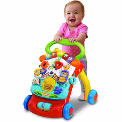 VTech 505603 First Steps Baby Walker