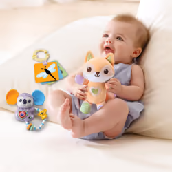 Vtech Fox & Friends Gift Set