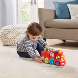 Vtech Pop & Sing Animal Train