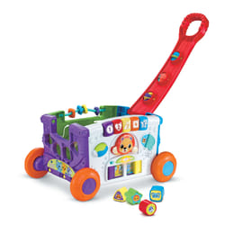 VTech 80-568505 push & pull toy