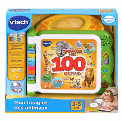 VTech Baby 80-609545 learning toy