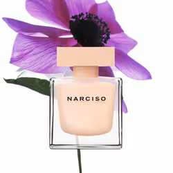 Narciso Poudrée Case 3 pcs