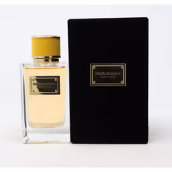 Velvet Ginestra by Dolce & Gabbana Eau De Parfum 5.0oz/150ml Spray New With Box