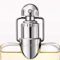 Cartier Déclaration Eau De Toilette 100 ml - Additional view 2