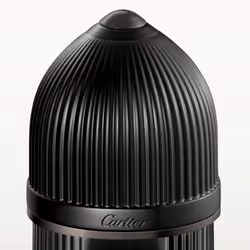 Cartier Pasha de Noir Absolu Parfum 100ml - Additional view 2
