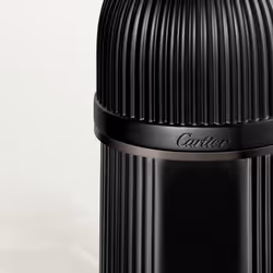 Cartier Pasha de Noir Absolu Parfum 100ml - Additional view 3