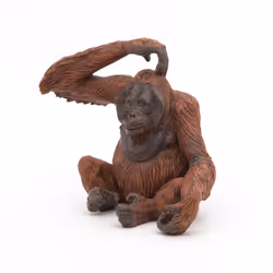 Papo Orangutan