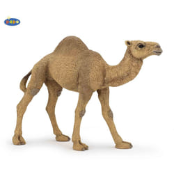 Papo Dromedary