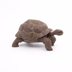 Papo Galápagos Tortoise - Additional view 4