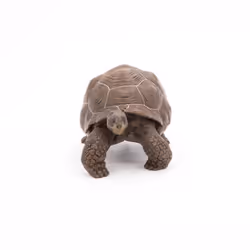 Papo Galápagos Tortoise - Additional view 6