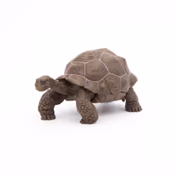 Papo Galápagos Tortoise - Additional view 7