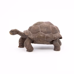 Papo Galápagos Tortoise - Additional view 8