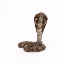 Papo King Cobra - Additional view 8