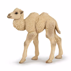 Papo Camel Calf, Collectible figure, Movie & TV series, 94 g
