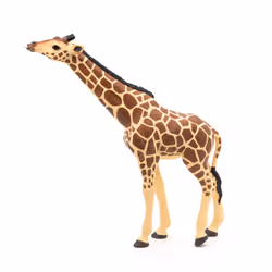 Papo Giraffe Head Raised - Additional view 7