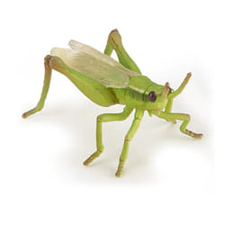 PAPO Wild Animal Kingdom Grasshopper Toy Figure