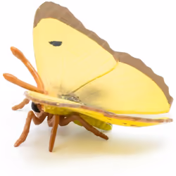 Papo - 50288 - Figurine - Clouded yellow butterfly