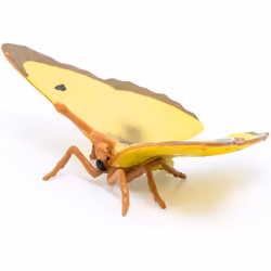 Papo - 50288 - Figurine - Clouded yellow butterfly - Additional view 4