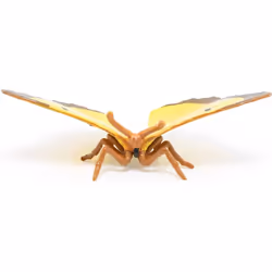 Papo - 50288 - Figurine - Clouded yellow butterfly - Additional view 5