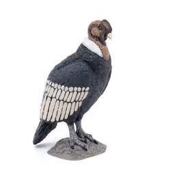 PAPO Wild Animal Kingdom Condor Toy Figure - 50293