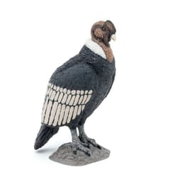 PAPO Wild Animal Kingdom Condor Toy Figure - 50293