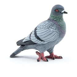 PAPO Wild Life in the Garden Pigeon Toy Figure - 50295
