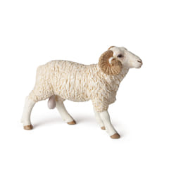 Papo Ram