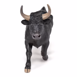 Papo Bull