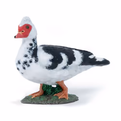 PAPO Farmyard Friends Domestic Muscovy Duck Toy Figure - 51189
