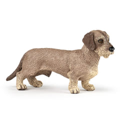 Papo Dachshund
