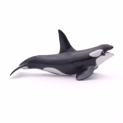 Papo Killer Whale - Additional view 4