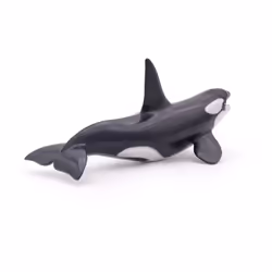 Papo Killer Whale - Additional view 5