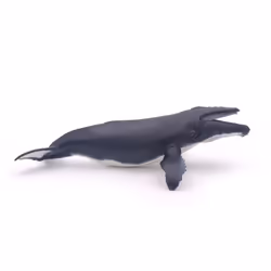 Papo Humpback Whale, 3 yr(s), Marine life, Black, White, PVC